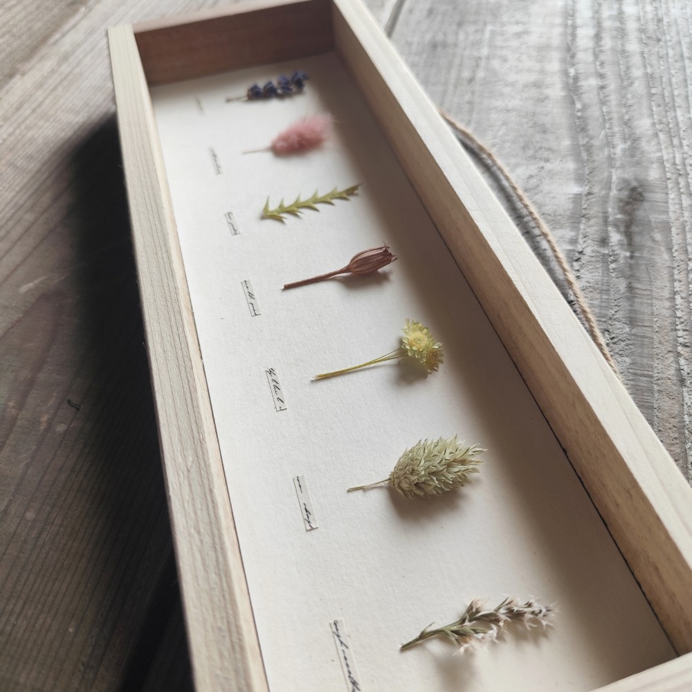 植物標本風パネル